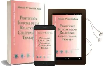 Descargar AudioLibro Proteccion Judicial de las Relaciones Colectivas de Trabajo de Manuel Maria Zorrilla Ruiz año 2009