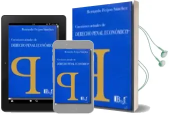 Descargar AudioLibro Cuestiones Actuales de Derecho Penal Economico de Bernardo Jose Feijoo Sanchez año 2009
