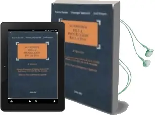 Descargar AudioLibro Auditoria de la Proteccion de Datos: Adaptado al Reglamento de de Desarrollo de la Lopd (Real Decreto 1720/2007, de 21 de Diciembre) (2ª Ed.) de Luis Velasco Massip año 2009