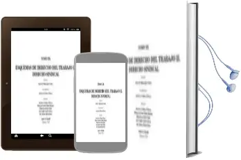 Descargar AudioLibro Esquemas de Derecho del Trabajo ii: Derecho Sindical: Tomo xx de Varios Autores año 2009