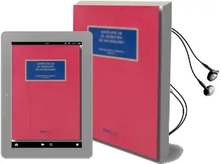 Descargar AudioLibro Simplificar el Derecho de Sociedades de Santiago Hierro Anibarro año 2010