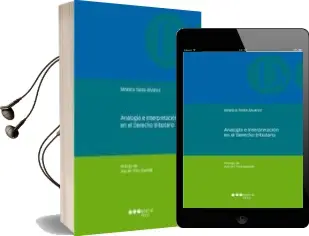 Descargar AudioLibro Analogia e Interpretacion en el Derecho Tributario de Monica Siota Alvarez año 2010