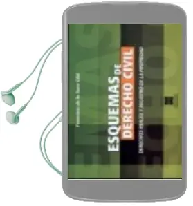 Descargar AudioLibro Esquemas de Derecho Civil: Derechos Reales y Registro de la Propi Edad de Francisco De La Torre Olid año 2010