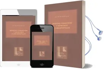 Descargar AudioLibro Derecho Financiero y Derechos Fundamentales de Jose Mª Martin Delgado año 2010