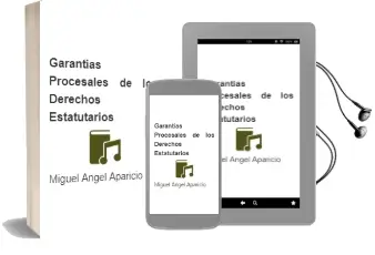 Descargar AudioLibro Garantias Procesales de los Derechos Estatutarios de Miguel Angel Aparicio año 2010