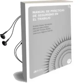 Descargar AudioLibro Manual de Practicas de Seguridad en el Trabajo de Andrés Pastor Fernández año 2010