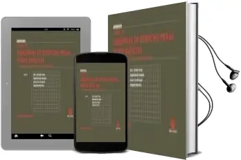 Descargar AudioLibro Esquemas de Derecho Penal Parte Especial Tomo vii de Jose Luis Gonzalez Cussac año 2010