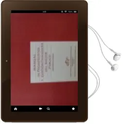 Descargar AudioLibro Manual de Presupuestos y Gestion Financiera del Sector Publico de Jaime Sanchez Revenga año 2010