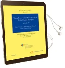 Descargar AudioLibro Tratado de Derecho y Politicas de la Union Europea, Tomo iv: Las Fuentes y Principios de Derecho de la Union Europea de Jose Mª Beneyto Perez año 2011