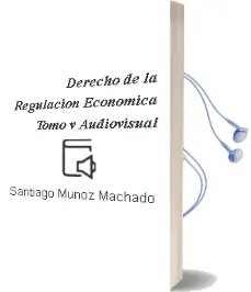 Descargar AudioLibro Derecho de la Regulacion Economica, Tomo v: Audiovisual de Santiago Muñoz Machado año 2011