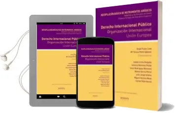 Descargar AudioLibro Recopilacion Basica de Instrumentos Juridicos: Derecho Internacio nal Publico, Organizacion Internacional, Union Europea de Maria Isabel Lirola Delgado año 2011