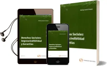 Descargar AudioLibro Derechos Sociales: Imprescindibilidad y Garantias de Rodrigo Garcia Schwarz año 2011