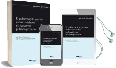 Descargar AudioLibro El Gobierno y la Gestión de las Entidades no Lucrativas Público-P Rivadas de Jose Miguel Embid Irujo año 2012