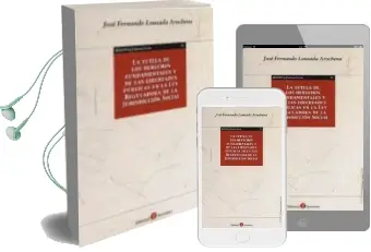 Descargar AudioLibro La Tutela de los Derechos Fundamentales y de las Libertades Publi cas en la ley Reguladora de la Jurisdiccion Social de Jose Fernando Lousada Arochena año 2012
