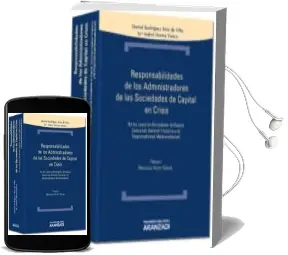 Descargar AudioLibro Responsabilidades de las Sociedades de Capital en Crisis de Daniel Rodriguez Ruiz De Villa año 2012