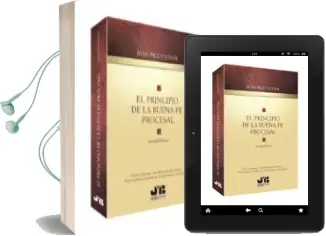 Descargar AudioLibro El Principio de la Buena fe Procesal (2º Ed.) de Joan Pico I Junoy año 2012