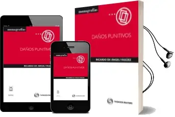 Descargar AudioLibro Daños Punitivos de Ricardo De Angel Yagüez año 2012