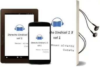 Descargar AudioLibro Derecho Sindical 1.3 (Vol. 1) de Henar Alvarez Cuesta año 2012