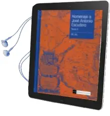Descargar AudioLibro Homenaje a Jose Antonio Escudero. Tomo ii de Varios Autores año 2012