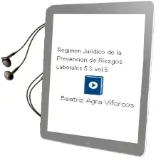 Descargar AudioLibro Regimen Juridico de la Prevencion de Riesgos Laborales 5.3 (Vol. 5) de Beatriz Agra Viforcos año 2012