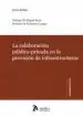 AudioLibro Colaboracion Publico-Privada en la Provision de Infraestructuras Revision Critica y Recomendaciones de Mejora del Marco Regulador.(Contratacion, Fiscalidad, Contabilidad Publica) de J. Ridao