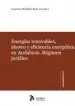 AudioLibro Energias Renovables, Ahorro y Eficiencia Energetica en Andalucia. Regimen Juridico. de Lorenzo Mellado Ruiz