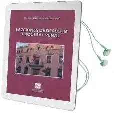 Descargar AudioLibro Lecciones de Derecho Procesal Penal de Monica Galdana Perez Morales año 2013