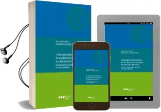 Descargar AudioLibro El Derecho Internacional de los Derechos Humanos en Períodos de c Risis de Varios Autores año 2013