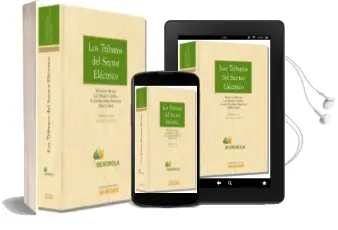 Descargar AudioLibro Los Tributos del Sector Electrico de Fernando Becker año 2013