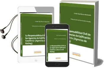 Descargar AudioLibro Responsabilidad Civil de las Agencias de Calificacion Crediticia (Agencias de Rating) de Carmen Rojo Alvarez Manzaneda año 2013