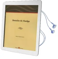 Descargar AudioLibro Derecho de Huelga de Javier Garate Castro año 2013