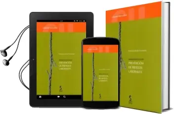 Descargar AudioLibro Normas Practicas de Prevencion de Riesgos Laborales de Francisco Benita Fernandez año 2013