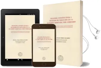 Descargar AudioLibro Negocios Constitutivos y Negocios de Ejecucion en la Sucesion ord Enada por Comisario de Miguel Angel Perez Alvarez año 2013