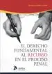 AudioLibro El Derecho Fundamental al Recurso en el Proceso Penal de Enrique Letelier Loyola