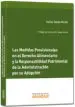 AudioLibro Medidas Provisionales en el Derecho Alimentario y la Responsabili dad Patrimonial de la Adminsitración por su Adopción de Andrea Toledo Martin