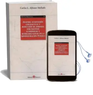 Descargar AudioLibro Despido,Suspension Contractual y Reduccion de Jornada por Motivos Economicos y Reorganizativos en la Administracion Pública de Carlos L. Alfonso año 2013