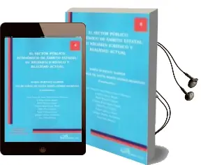 Descargar AudioLibro El Sector Publico Economico de Ambito Estatal: Su Regimen Juridic o y Realidad Actual de Maria Burzaco Samper año 2013