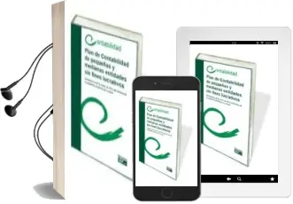 Descargar AudioLibro Plan de Contabilidad de Pequeñas y Medianas Entidades sin Fines l Ucrativos de Varios Autores año 2013