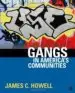AudioLibro Gangs in America s Communities de James C. Howell