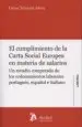 AudioLibro Cumplimiento de la Carta Social Europea en Materia de Salarios. de Luisa Teixeira Alves