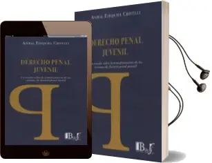 Descargar AudioLibro Derecho Penal Juvenil: Un Estudio Sobre la Transformacion de los Sistemas de Justicia Penal Juvenil de Anibal Ezequiel Crivelli año 2014