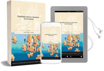 Descargar AudioLibro Flexibilidad Interna e Innovacion en la Empresa de Juan Pablo Landa Zapirain año 2014