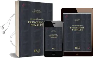 Descargar AudioLibro Sentido de los Principios Penales de Guillermo Yacobucci año 2014
