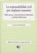 AudioLibro Las Responsabilidad Civil por Implante Mamario de Cristina Gil Membrado