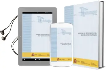 Descargar AudioLibro Medidas de Prevención del Blanqueo de Capitales de Ministerio De Hacienda año 2014