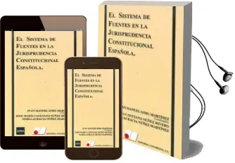 Descargar AudioLibro El Sistema de Fuentes en la Jurisprudencia Constitucional Español a: Parte Practica (Nuevo Curso 2014-2015) de Juan Manuel Goig Martinez año 2014