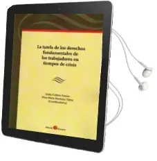 Descargar AudioLibro Tutela de los Derechos Fundamentales de los Trabajadores en Tiempos de Crisis de Jaime Cabeza Pereir año 2014