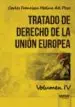AudioLibro Tratado de Derecho de la Union Europea, Tomo iv de Carlos Francisco Molina Del Pozo