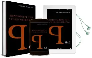 Descargar AudioLibro Responsabilidad Penal y Perjuicio Patrimonial de Jose Ignacio Gallego Soler año 2015