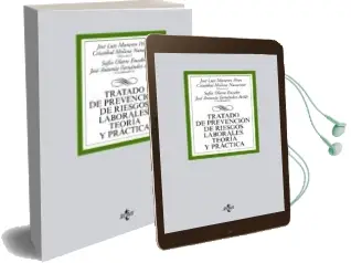 Descargar AudioLibro Tratado de Prevencion de Riesgos Laborales. Teoria y Practica de Jose Luis Monereo Perez año 2015